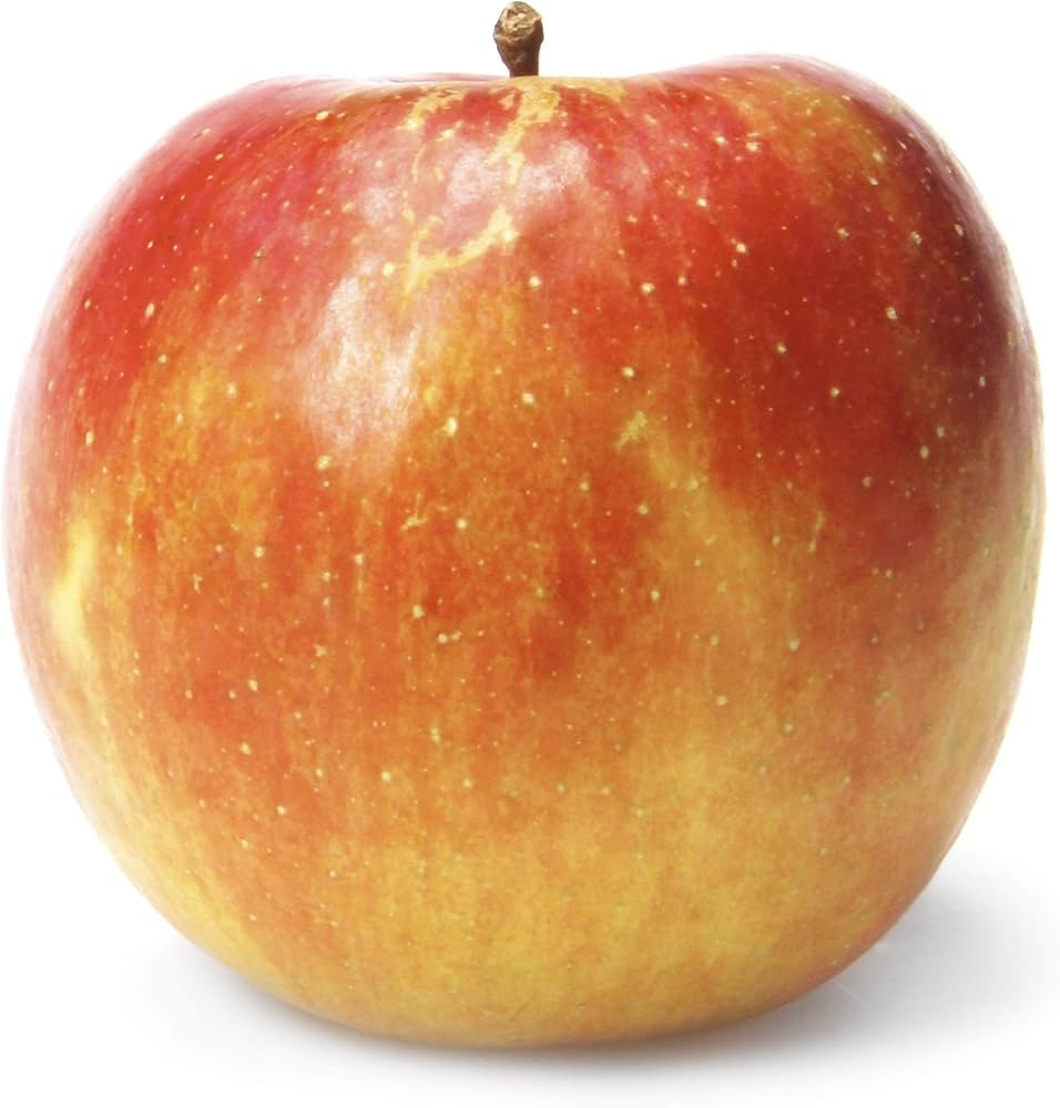 Apple Fuji