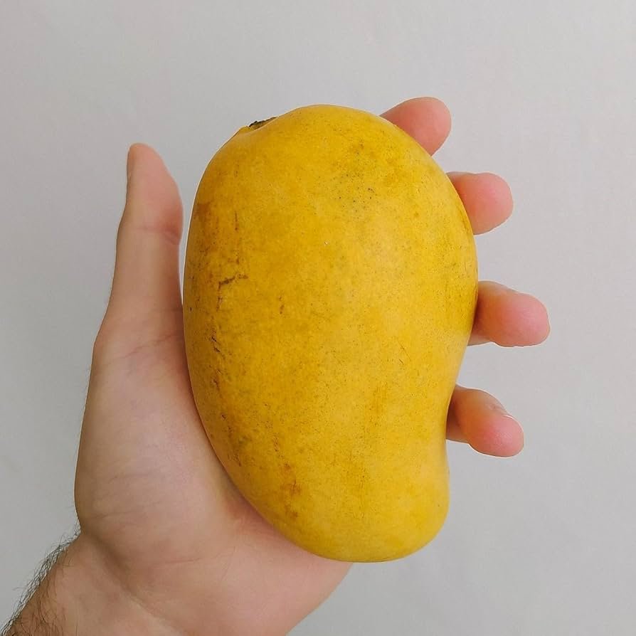 Ataulfo Mango