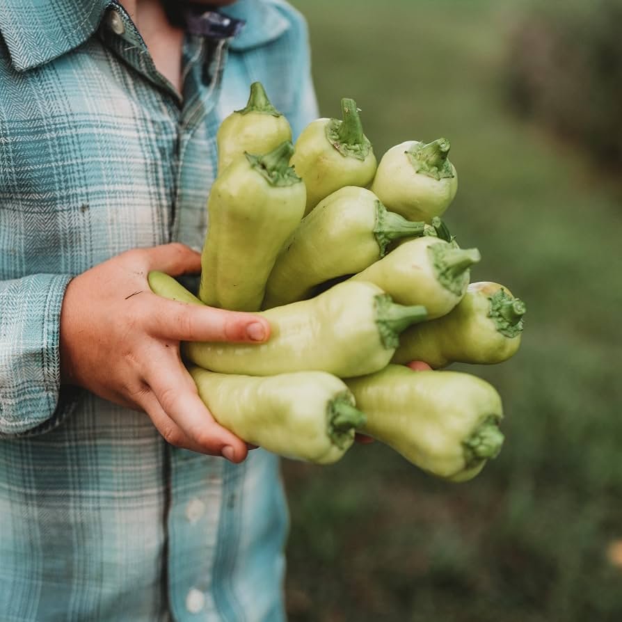 Banana Peppers