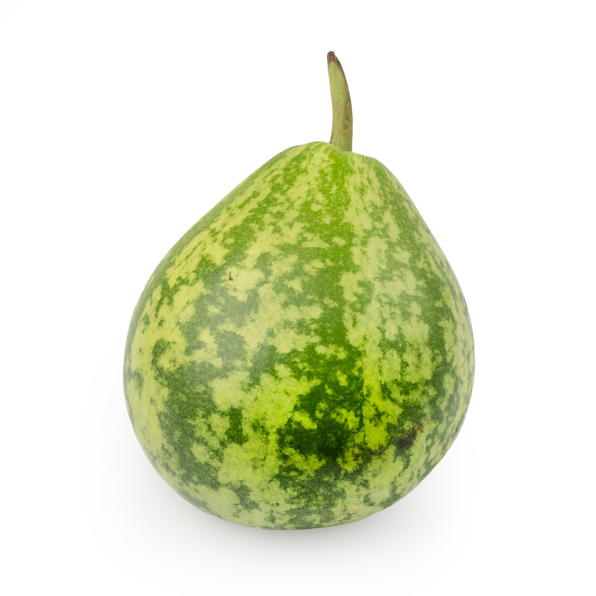 Bengali Squash