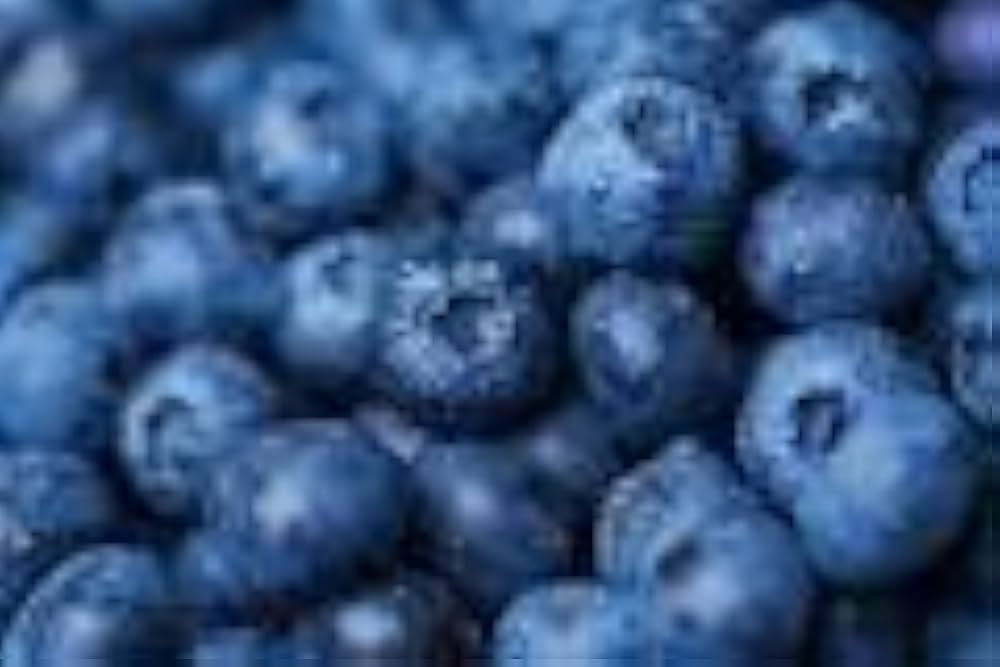 Blueberries 551ml