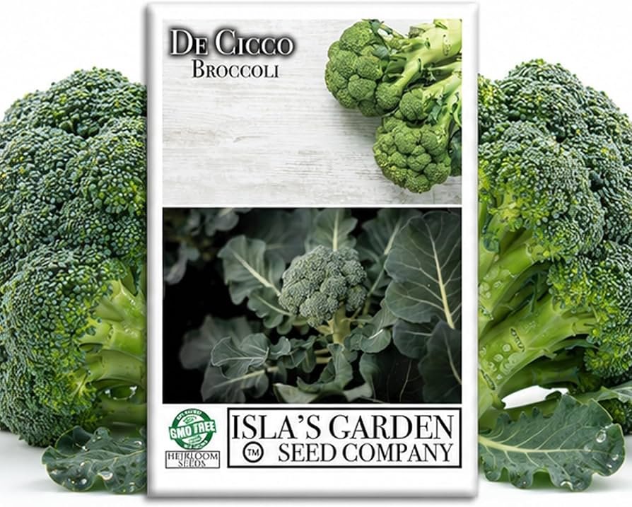Broccoli - Produce