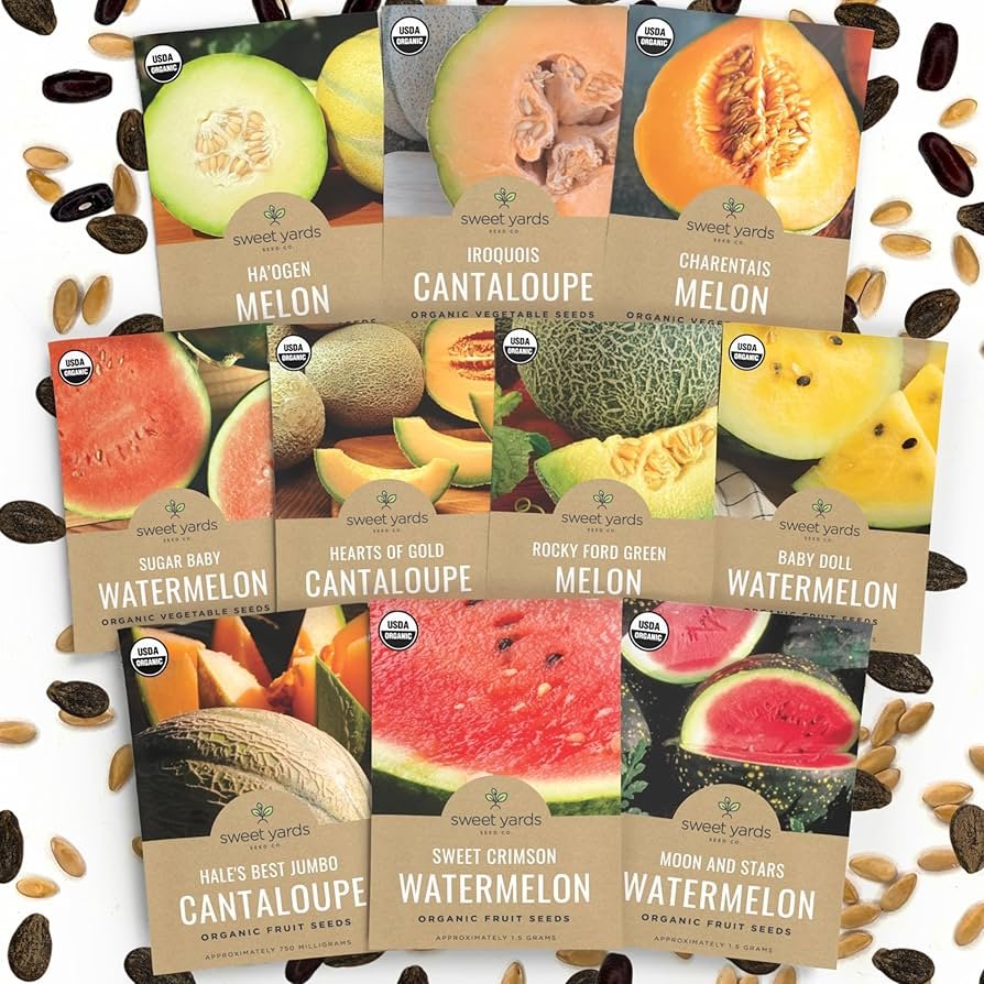 Cantaloupe