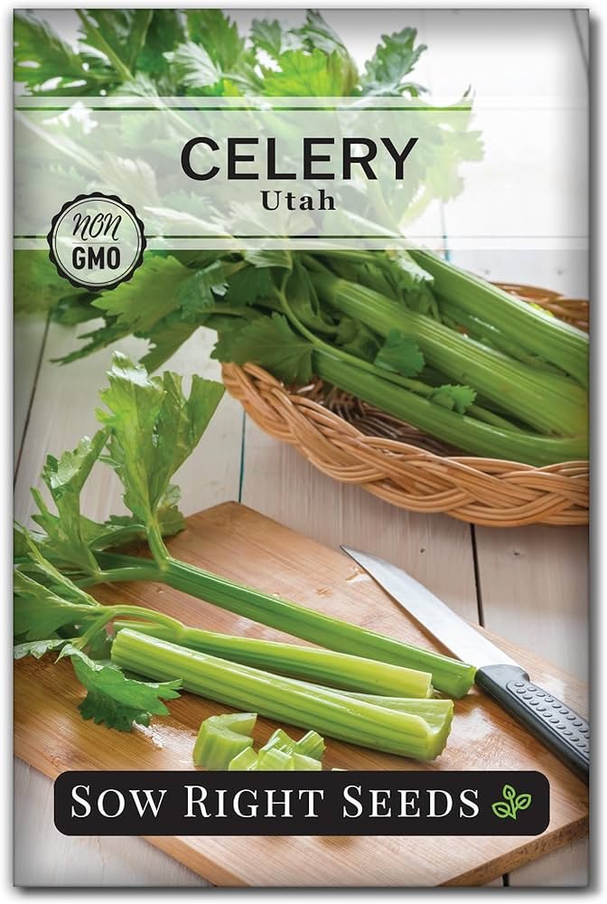 Celery Stalk