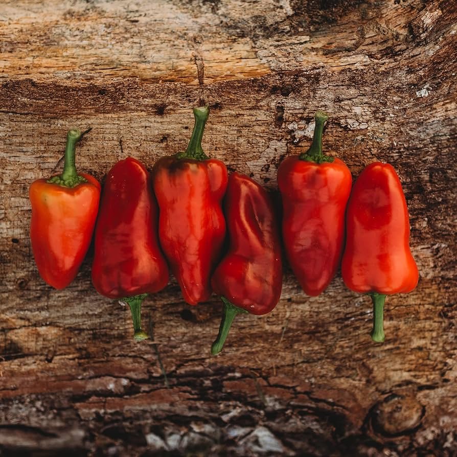 Clance Jalapeno Ranch