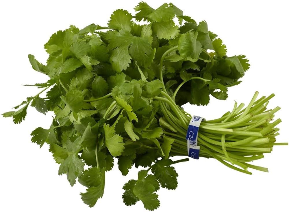 Coriander Bunch
