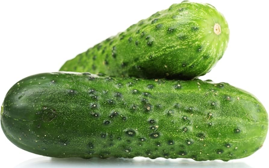 Cucumber Small