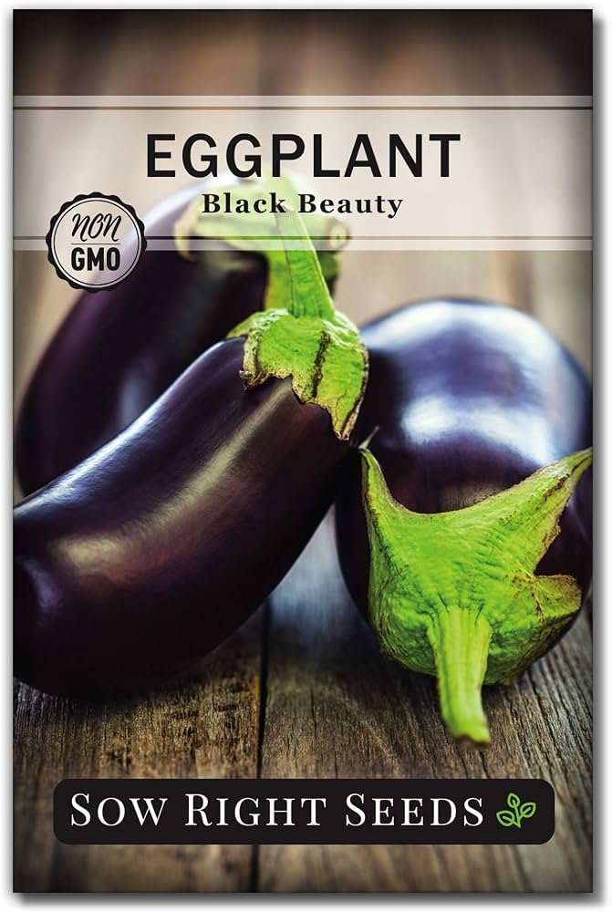 Eggplant Large