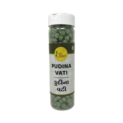 From The Earth Pudina Vati 200g