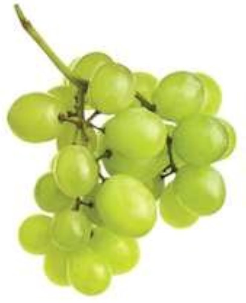 Grapes Green