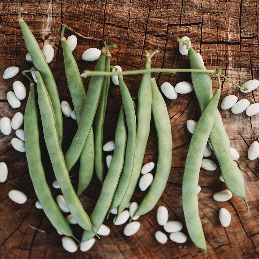 Green Beans