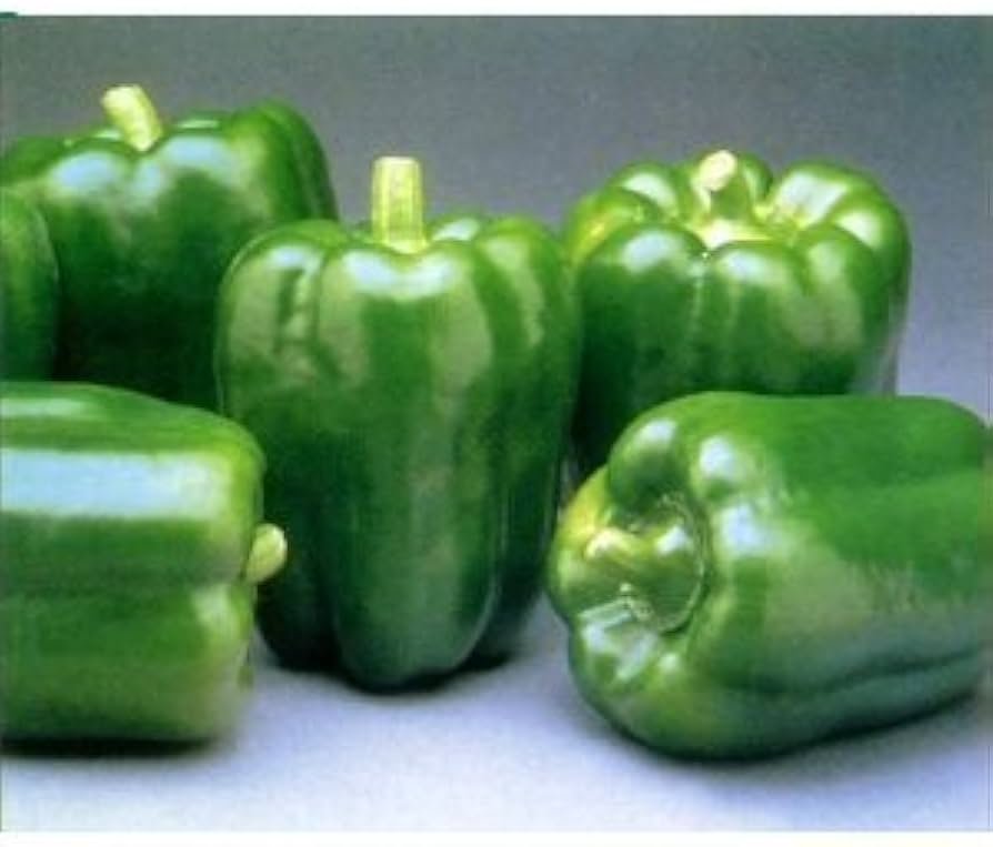 Green Pepper (per LB)