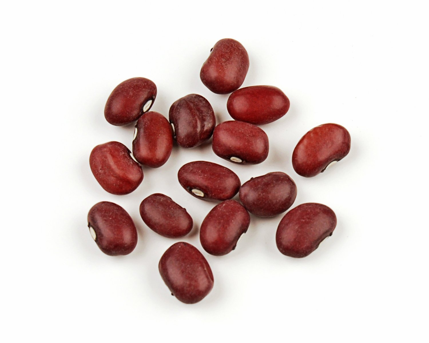 Gujan Red Chori Small 2lb