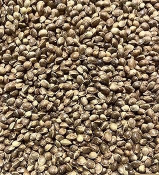 Handi Poppy Seed 200g - Spices and Herbs