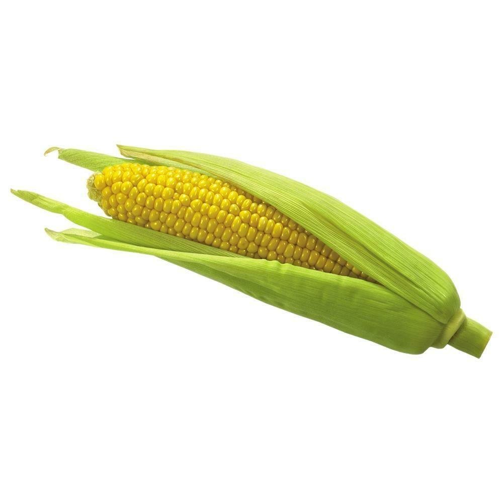 Handi Sweet Corn 1.75kg