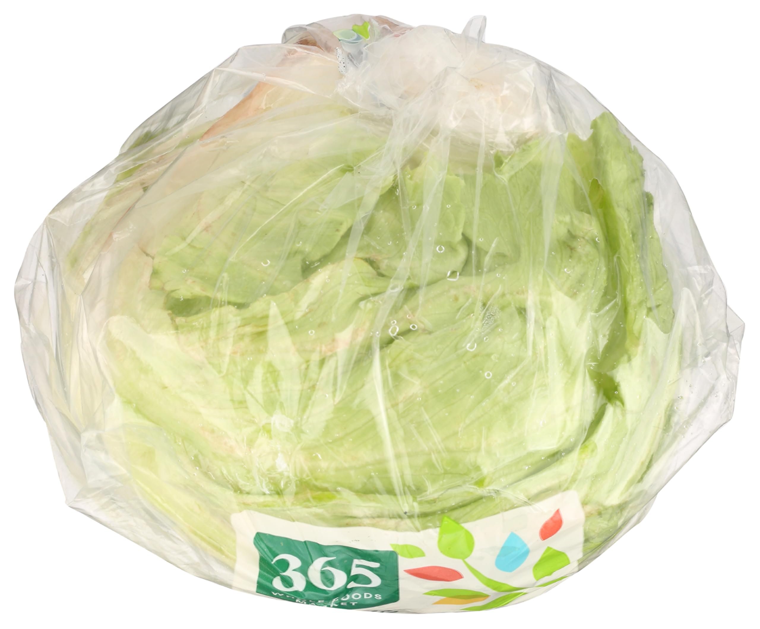 Lettuce Iceberg