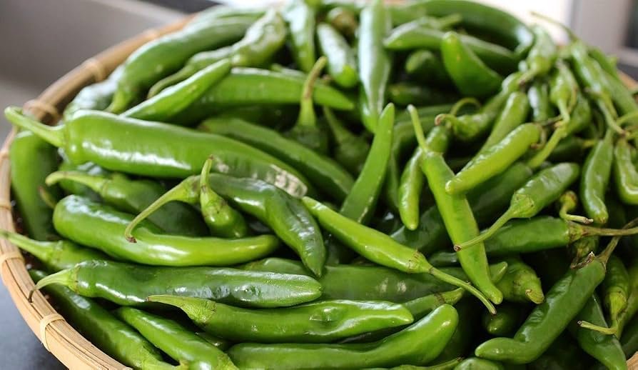 Long Green Chilli