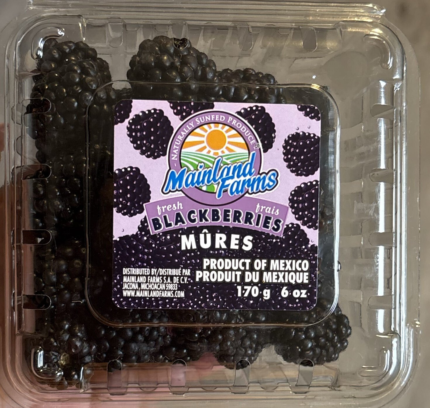MAINLAND Blackberries