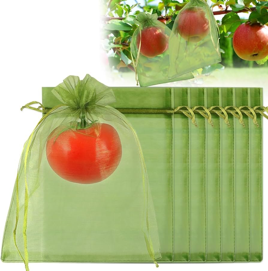 Mango Green