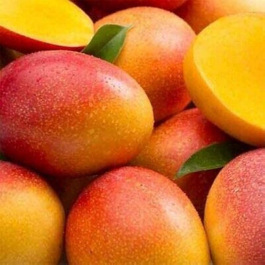 Mango Haden