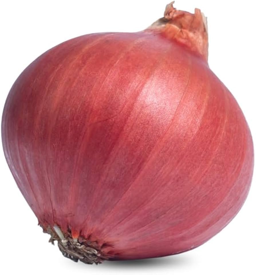 Onion Red 10lb