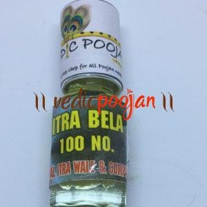 Poojawala Gangajal