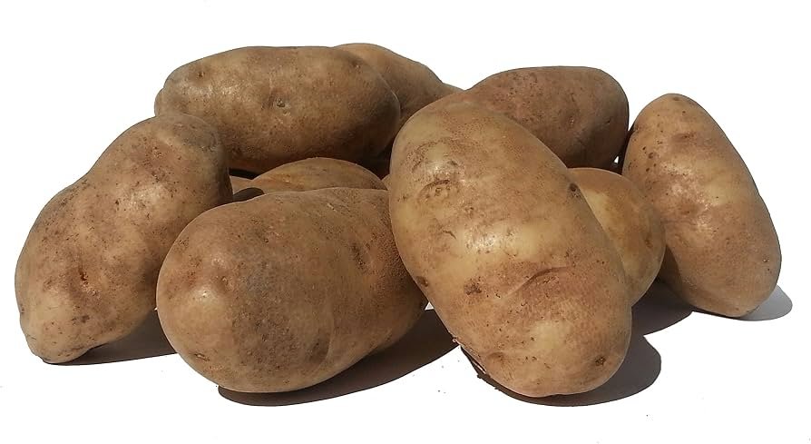 Potato Russet 10lb