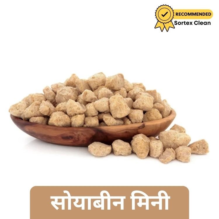 Punjab King Soya Chunks 400g