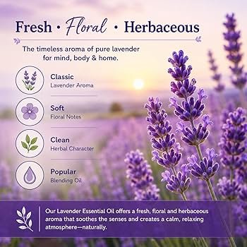 Pure Air Lavender & Camphor 300ml