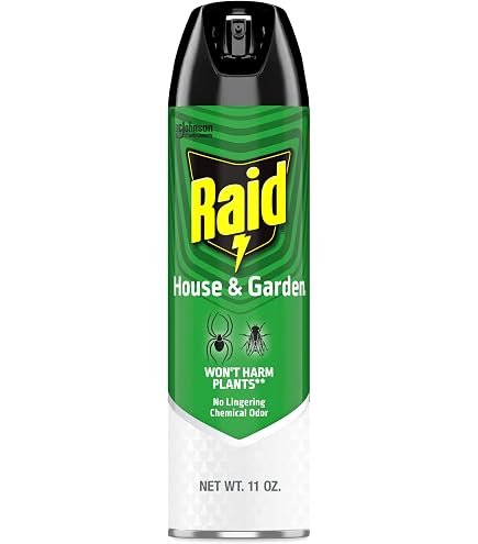 Raid Double Mosquito & Fly Spray 350g