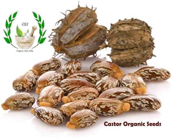 Rajveer Mustard Whole 400g