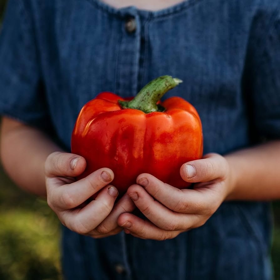 Red Pepper