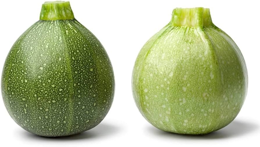 Round Squash