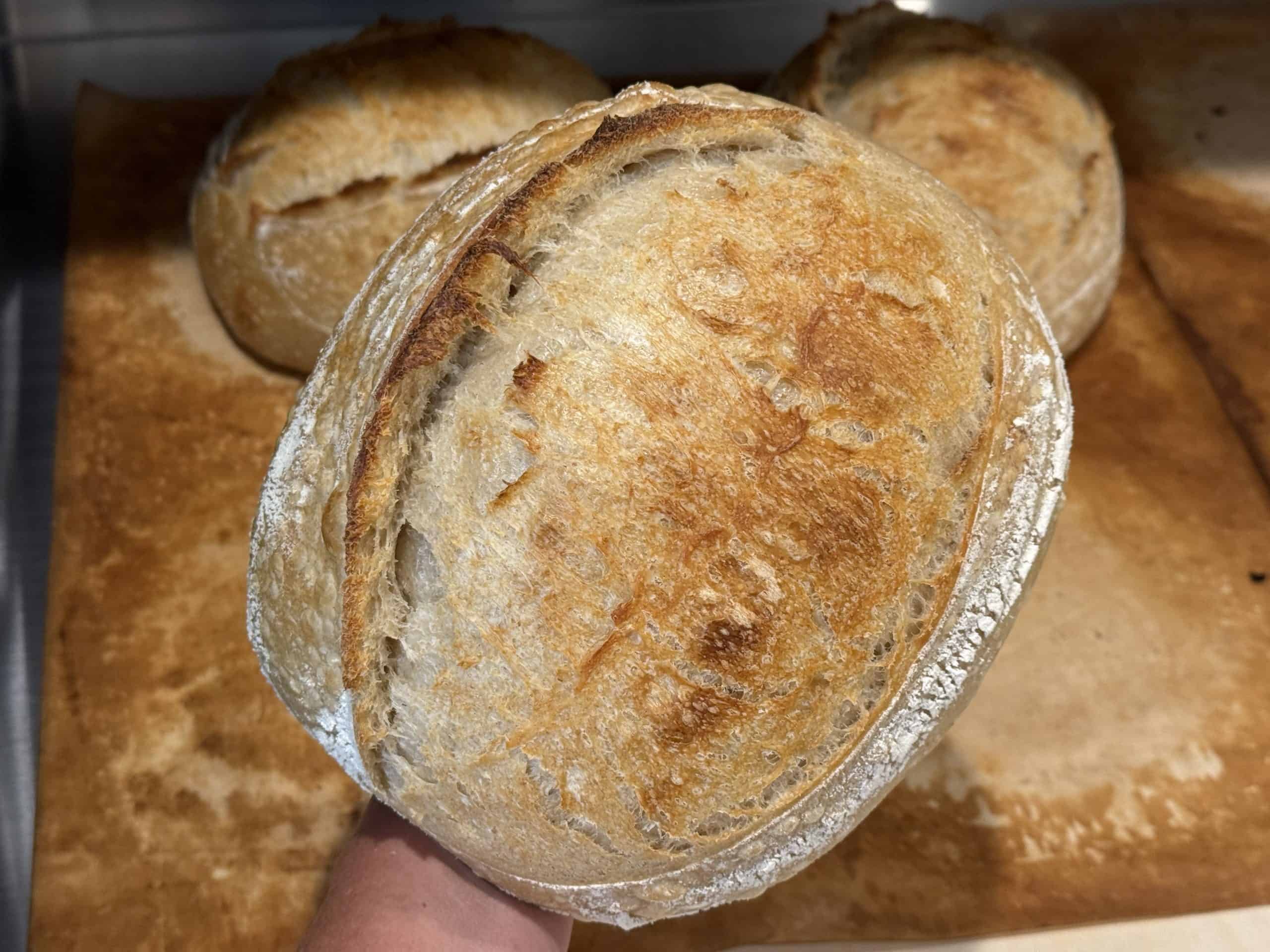 SHER Rosemary Whole 50g