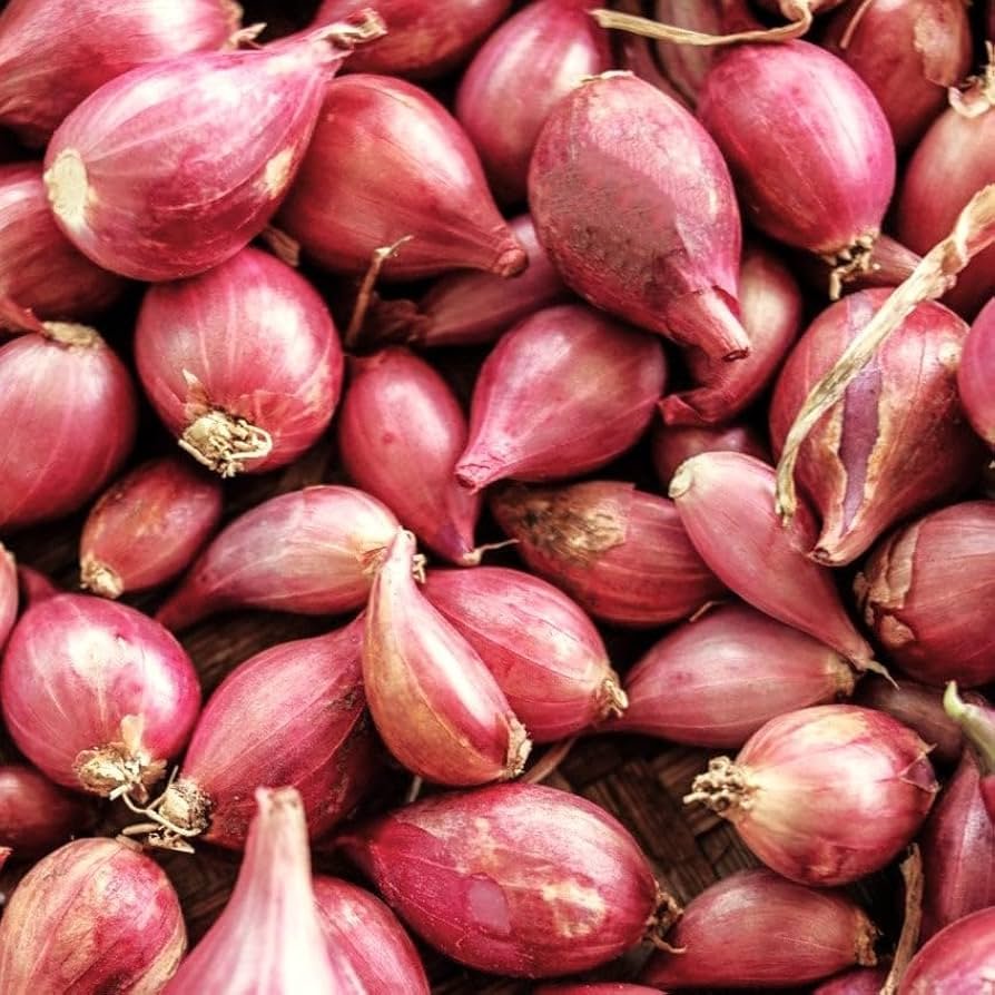 Small Onion (Shallots)