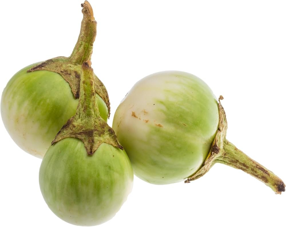 Thai Eggplant