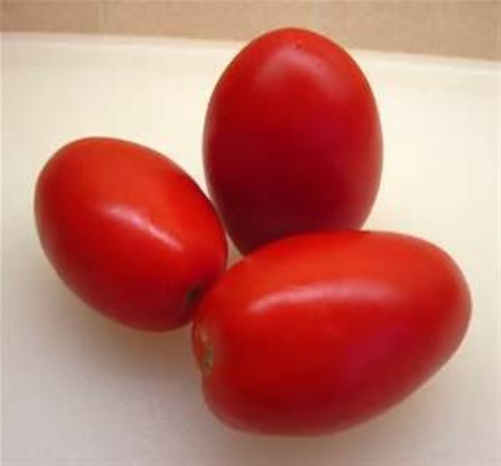 Tomatoes Roma