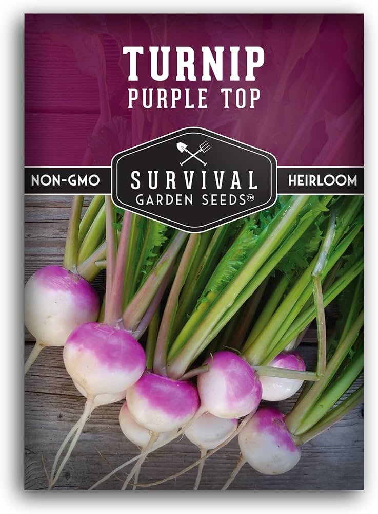 Turnip