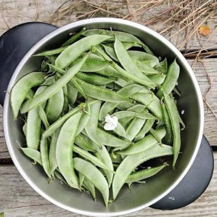 Valor Beans