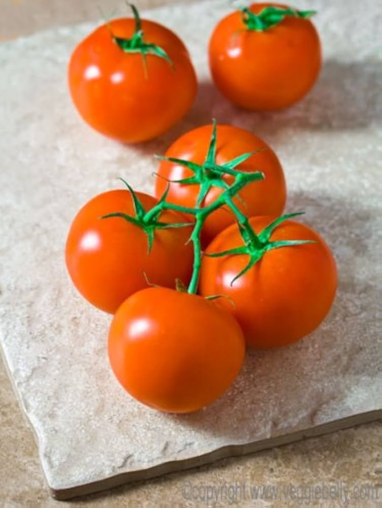 Vine Tomatoes