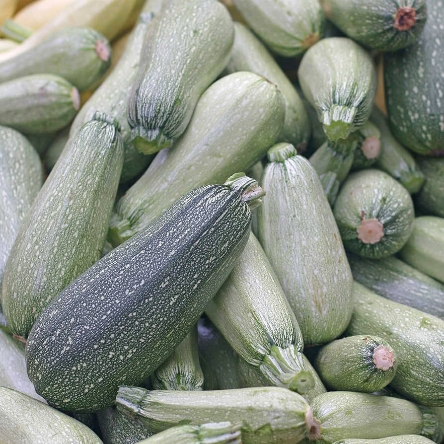 Zucchini Grey