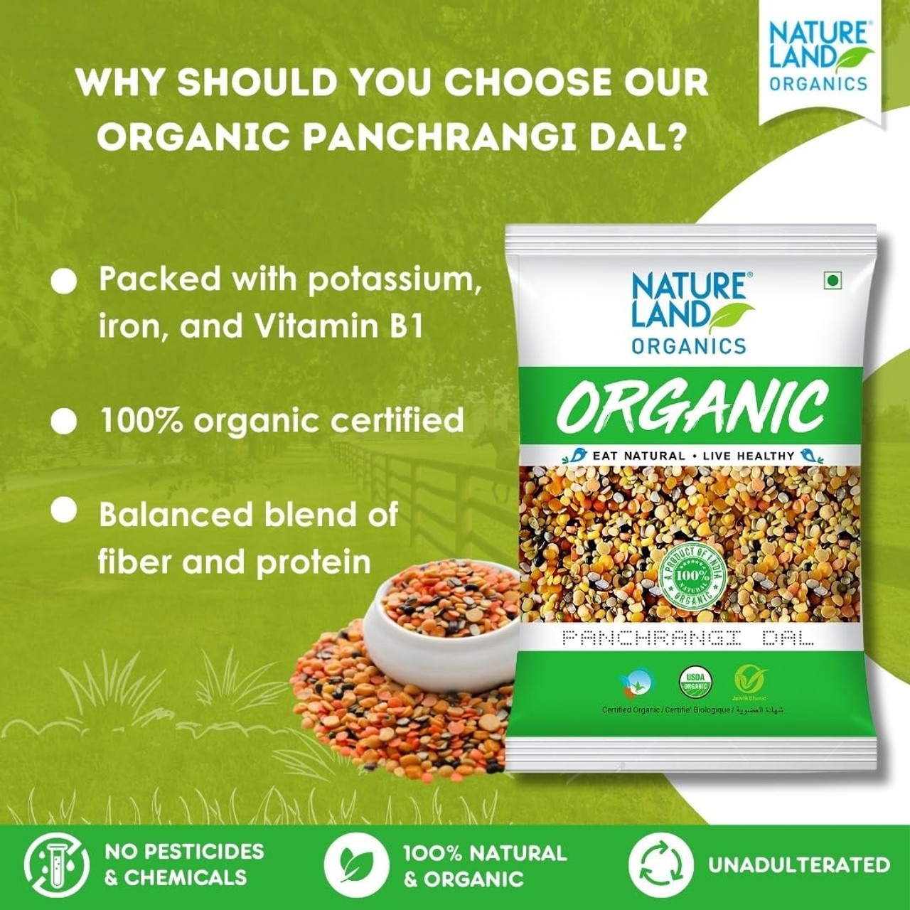 Nature Land Organic Panchrangi Dal 2lb